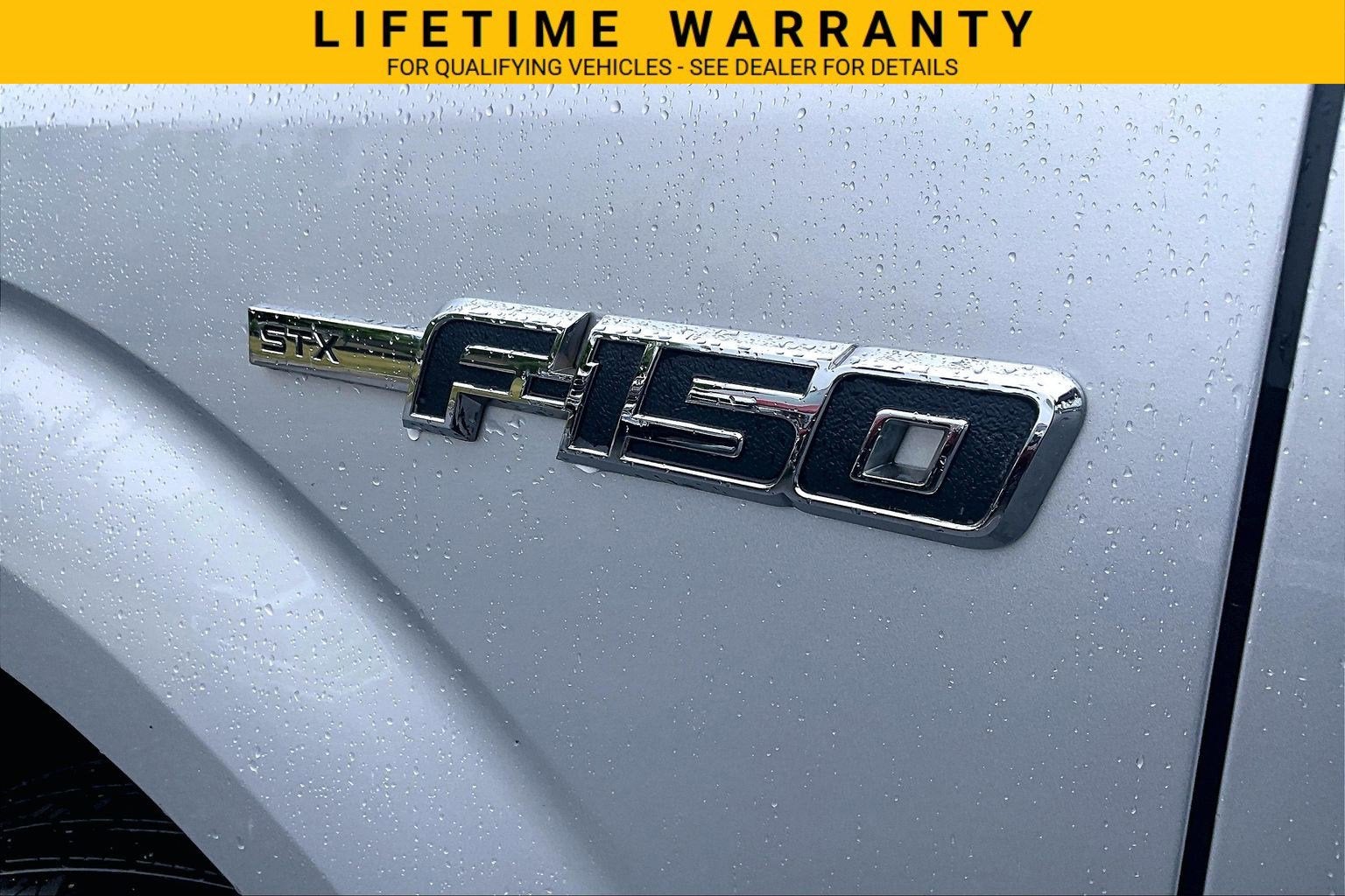 2010 Ford F-150 XL
