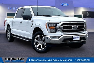 2023 Ford F-150 XL