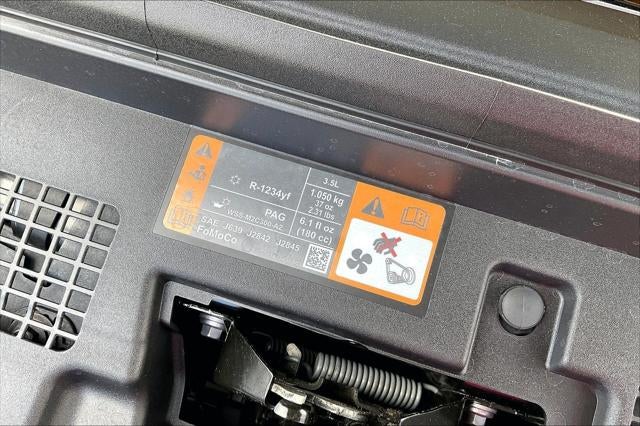 2025 Ford Expedition Active MAX