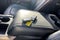 2020 Ford Super Duty F-250 SRW Platinum