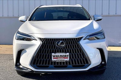 2025 Lexus NX NX 350